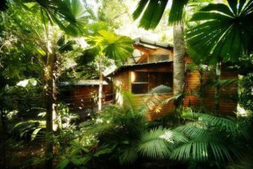 Hotel Jungle Lodge | Cape Tribulation | Queensland | Australia 7