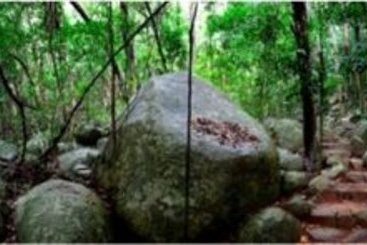 Fitzroy Island Resort | Cairns | Queensland | Australia 8