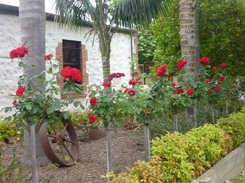 St Francis Winery Resort | Old Reynella | South Australia | Australia 15