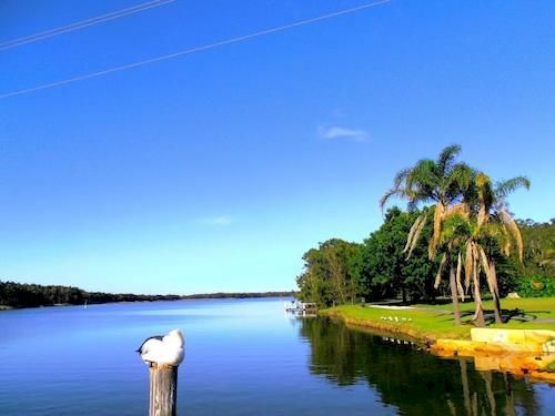 Hibiscus Lakeside Motel | Budgewoi | New South Wales | Australia 8
