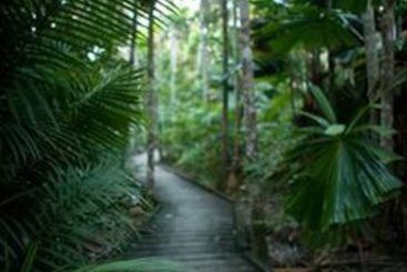 Hotel Elandra Mission Beach | Mission Beach | Queensland | Australia 12