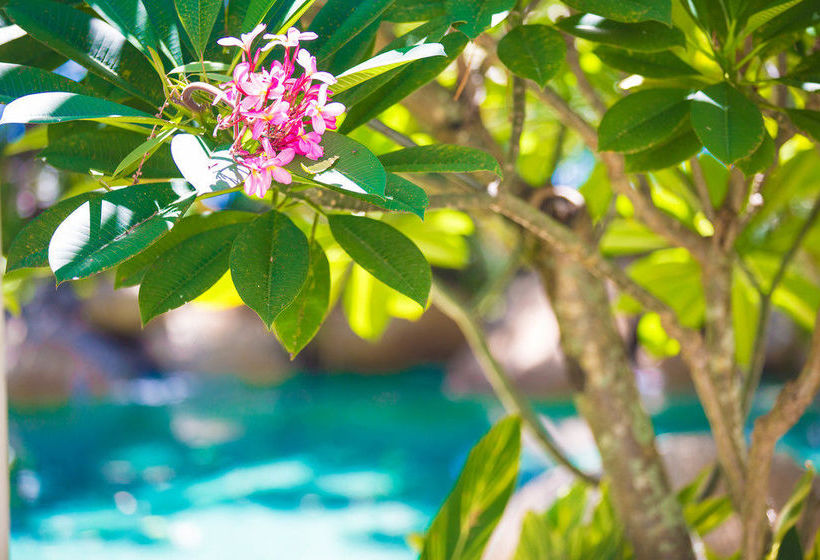 Melaleuca Resort Palm Cove | Palm Cove | Queensland | Australia 5