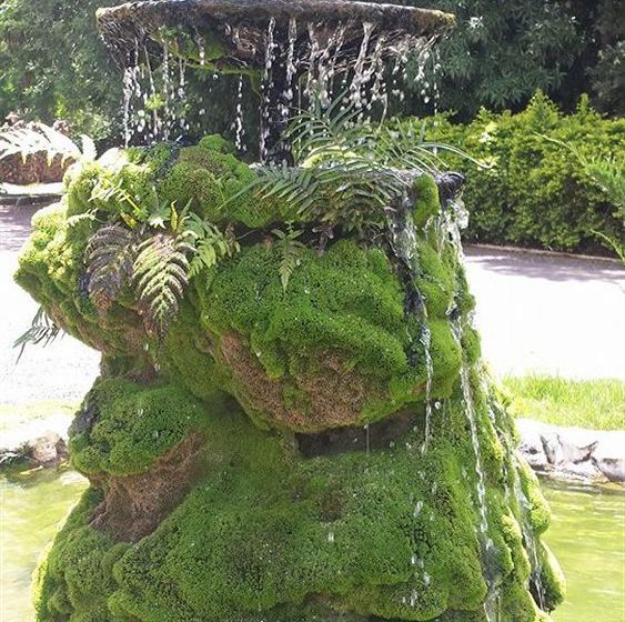 Hotel Bonsai  | Bonito | Mato Grosso do Sul | Brasil 4