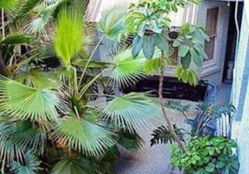 Hotel Plaza | Adelaide | South Australia | Australia 11