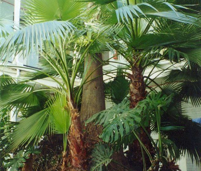 Hotel Plaza | Adelaide | South Australia | Australia 16