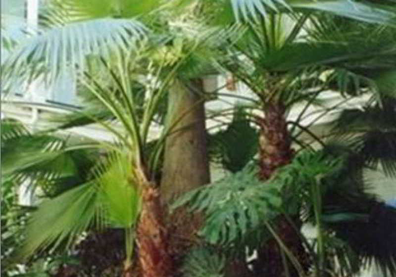 Hotel Plaza | Adelaide | South Australia | Australia 6