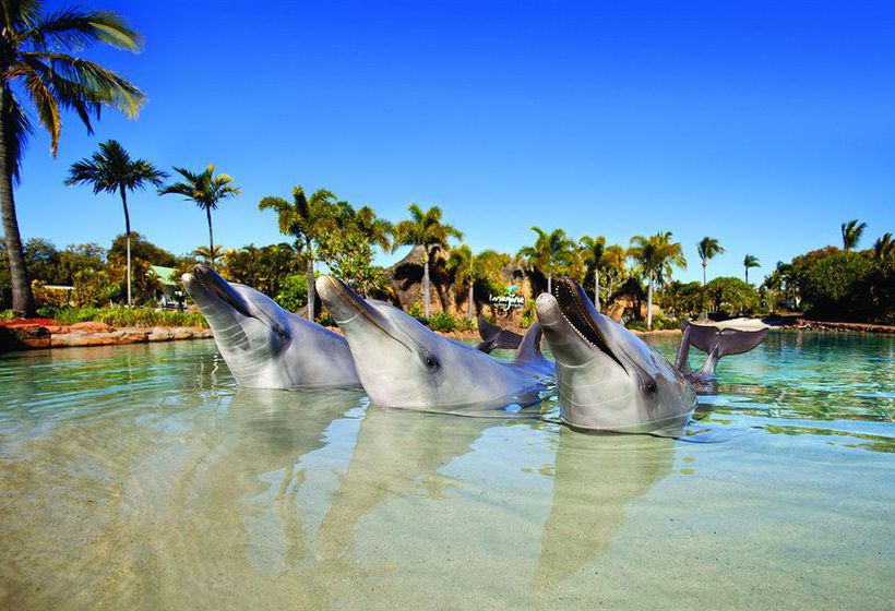 Sea World Resort | Gold Coast  | Queensland | Australia 3