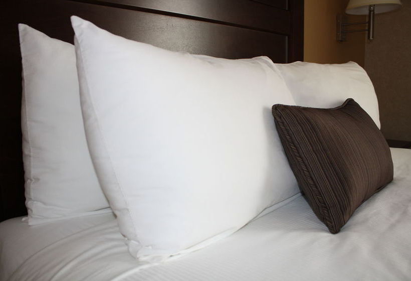 Hotel Days Inn - Estevan | Estevan | Saskatchewan | Canada 10