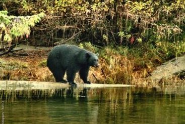 Hotel Best Western Barclay | Port Alberni | British Columbia | Canada 18