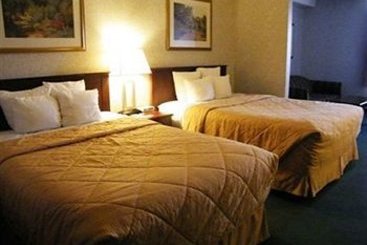 Hotel Comfort Inn & Suites Medicine Hat | Medicine Hat | Alberta | Canada 2