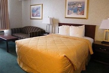 Hotel Comfort Inn & Suites Medicine Hat | Medicine Hat | Alberta | Canada 3