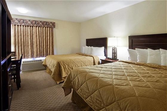 Hotel Comfort Inn & Suites Airport | Calgary | Alberta | Canada 8