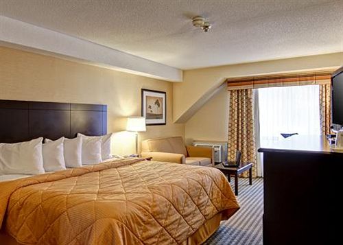 Hotel Comfort Inn East Scarborough | Scarborough | Ontario | Canada 10