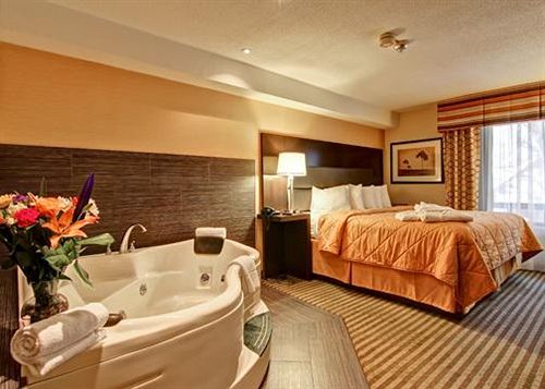 Hotel Comfort Inn East Scarborough | Scarborough | Ontario | Canada 18