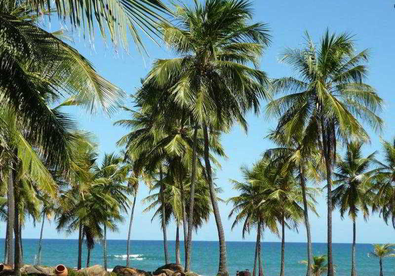 Hotel Sauipe Class  | Costa do Sauipe | Bahia | Brasil 5