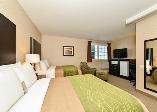 Hotel Comfort Inn Halifax | Halifax | Nueva Escocia | Canadá 16