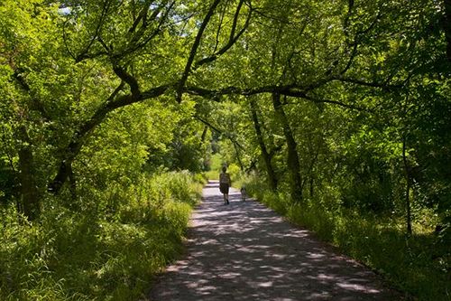 Toronto Don Valley Hotel & Suites | Toronto | Ontario | Canada 13