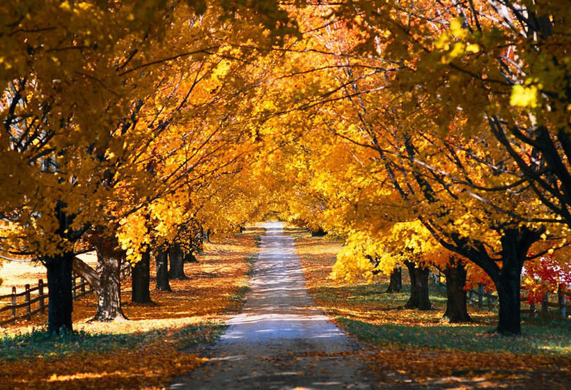 Toronto Don Valley Hotel & Suites | Toronto | Ontario | Canada 6