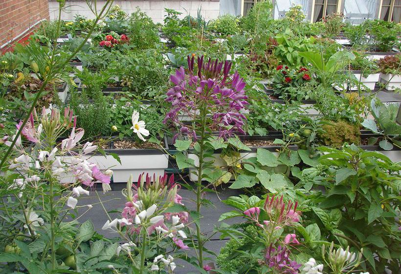 Hotel Du Vieux Québec | Quebec | Quebec | Canada 1