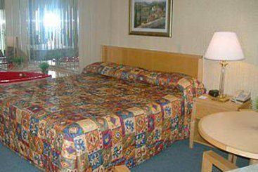 Hotel Inn by the Falls | Niagara Falls | Ontario | Canada 3