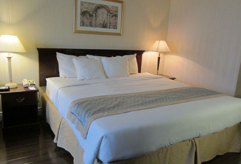 Toronto Plaza Hotel Airport & Conference Centre | Toronto | Ontario | Canada 12