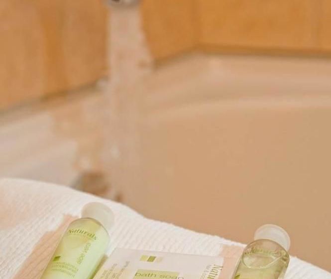 Hotel Red Carpet Inn | Banff | Alberta | Canada 17