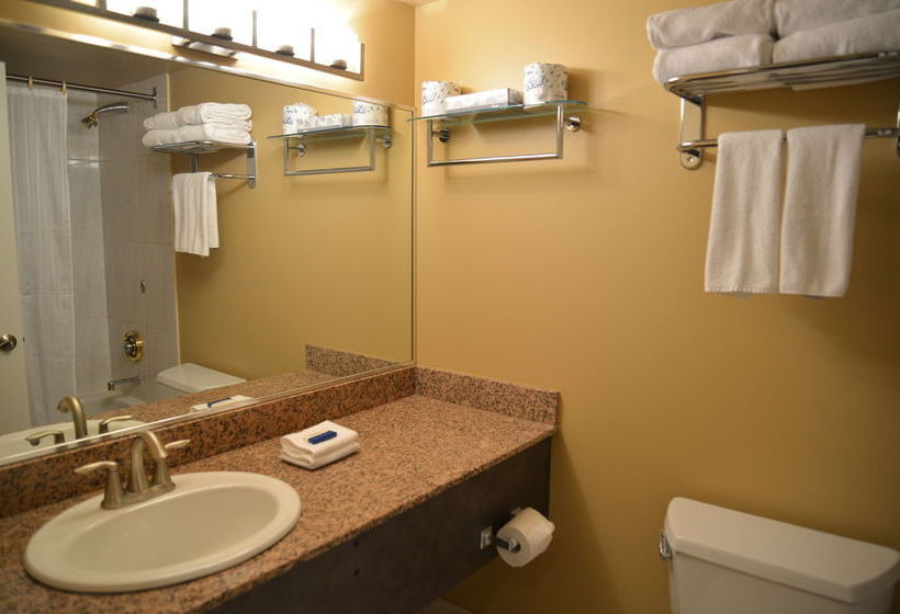 Hotel Rosedale On Robson | Vancouver | British Columbia | Canada 9