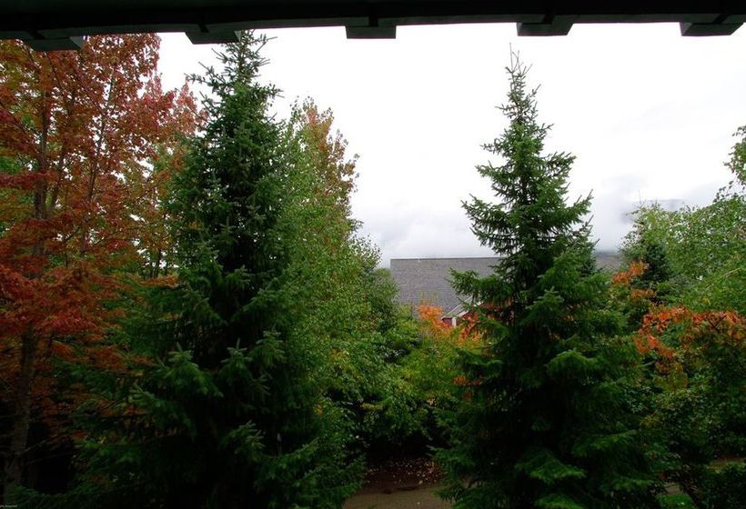 Hotel Town Plaza | Whistler | British Columbia | Canada 3