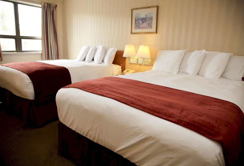 Hotel Sinbad's | Gander | Newfoundland and Labrador | Canada 3