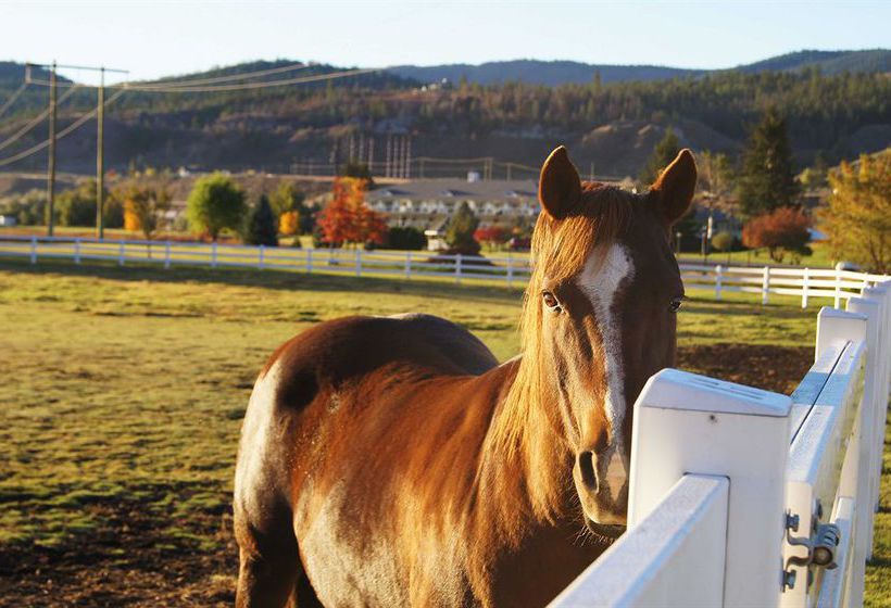 Hotel South Thompson Inn & Conference Centre | Kamloops | British Columbia | Canada 11