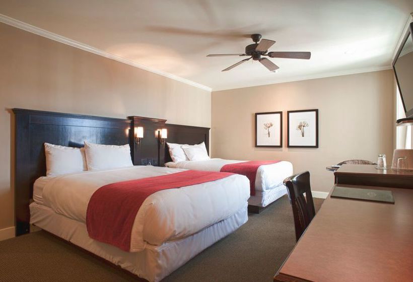 Hotel Strathcona | Victoria | British Columbia | Canada 17