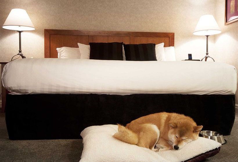 Summit Lodge Boutique Hotel | Whistler | British Columbia | Canada 11