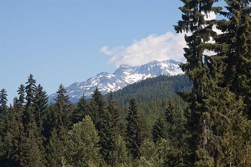 Hotel Tyndall Stone Lodge | Whistler | British Columbia | Canada 6