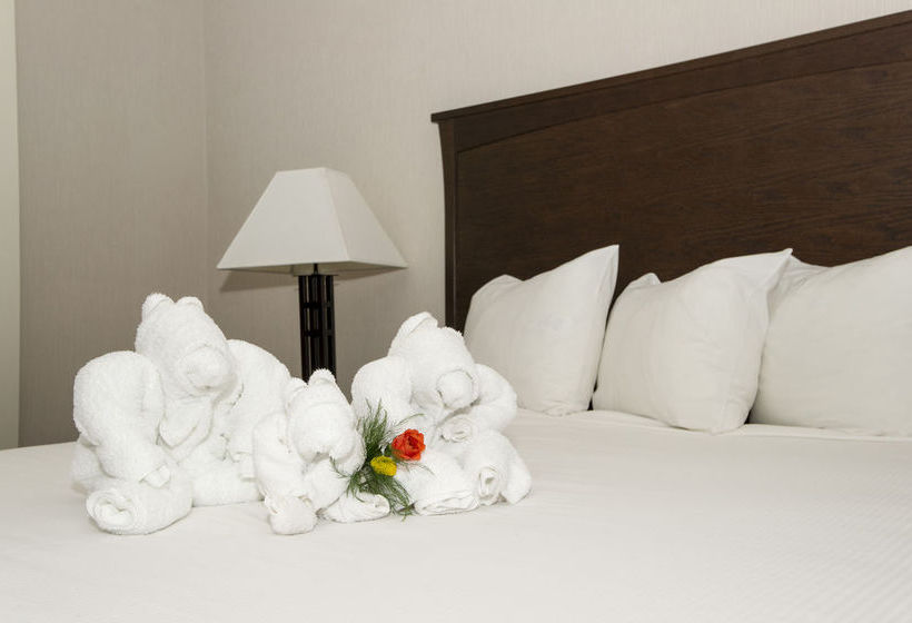 Hotel Quality Inn & Suites Yellowknife | Yellowknife | Northwest Territories | Canada 17