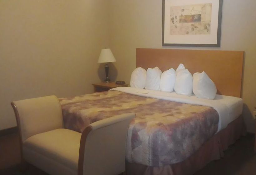 Hotel Stettler Canalta | Stettler | Alberta | Canada 3