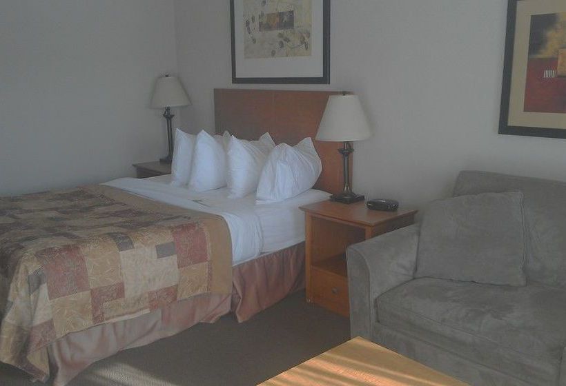 Hotel Stettler Canalta | Stettler | Alberta | Canada 4