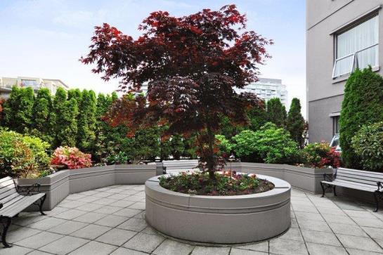 Best Western Vancouver Uptown Hotel | Vancouver | British Columbia | Canada 20