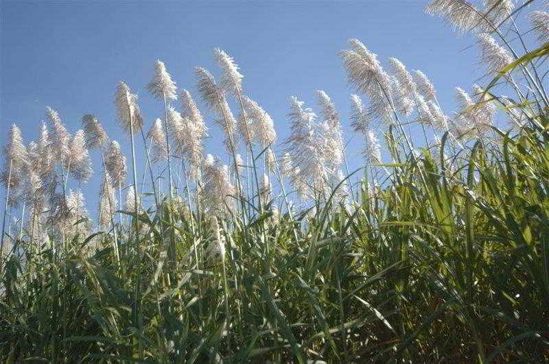 Hotel B.w Boulevard Lodge | Bundaberg | Queensland | Australia 16