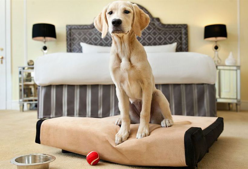 The Fairmont Hotel Vancouver | Vancouver | British Columbia | Canada 18