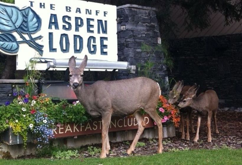 Hotel The Banff Aspen Lodge | Banff | Alberta | Canadá 16