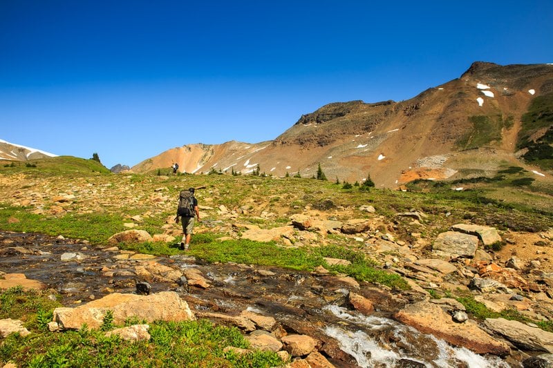 Hotel Best Western Mountainview Inn | Golden | British Columbia | Canada 17