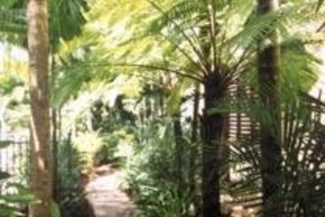 Hotel Figtree Lodge | Cairns | Queensland | Australia 2