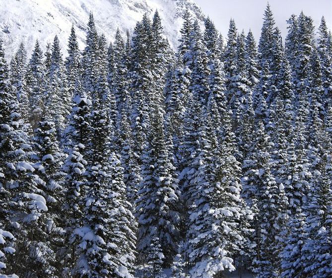 Hotel Gite Du Mont Albert | Sainte Anne des Monts | Quebec | Canada 12