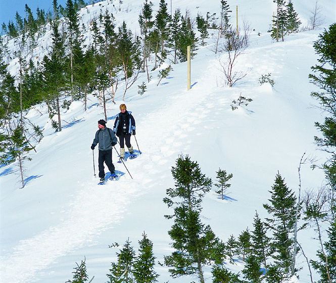Hotel Gite Du Mont Albert | Sainte Anne des Monts | Quebec | Canada 8