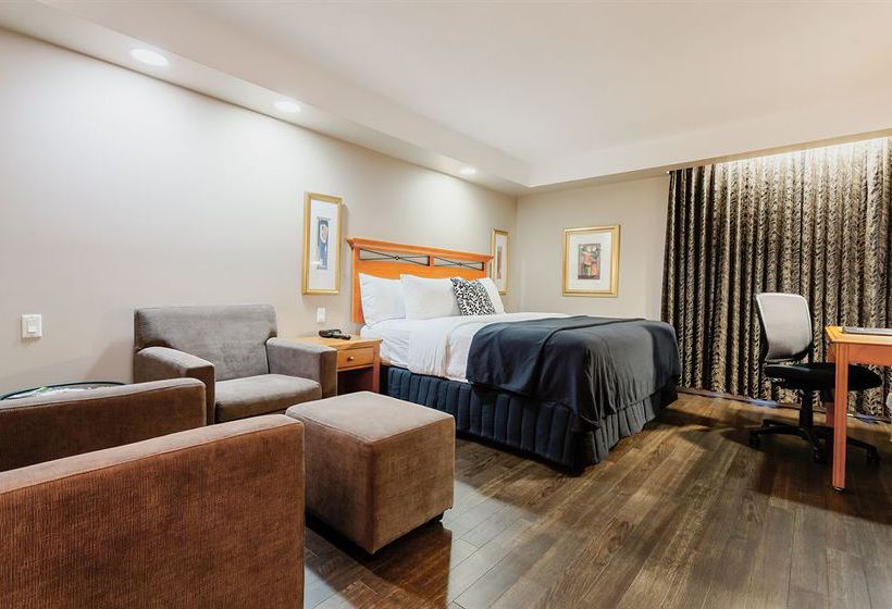 Hotel Executive Royal Inn Calgary | Calgary | Alberta | Canada 11
