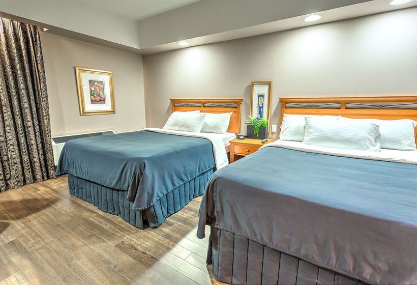 Hotel Executive Royal Inn Calgary | Calgary | Alberta | Canada 7