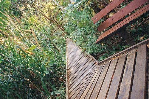 Hotel The Lakes Cairns Resort & Spa | Cairns | Queensland | Australia 10