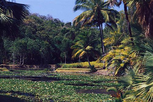 Hotel The Lakes Cairns Resort & Spa | Cairns | Queensland | Australia 11