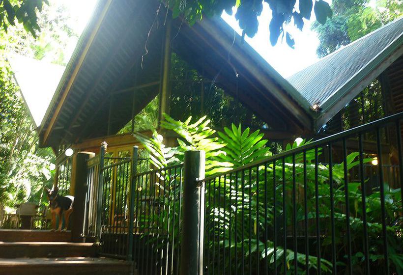 Hotel Ferntree Rainforest Lodge | Cape Tribulation | Queensland | Australia 13