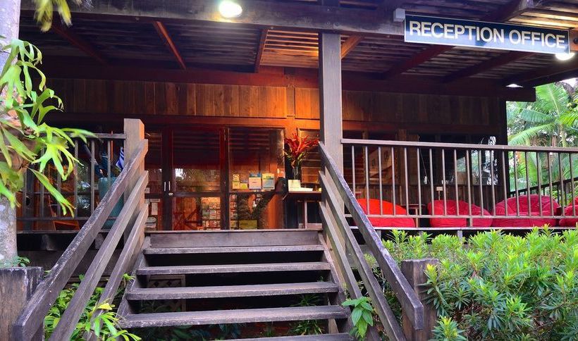 Hotel Ferntree Rainforest Lodge | Cape Tribulation | Queensland | Australia 18